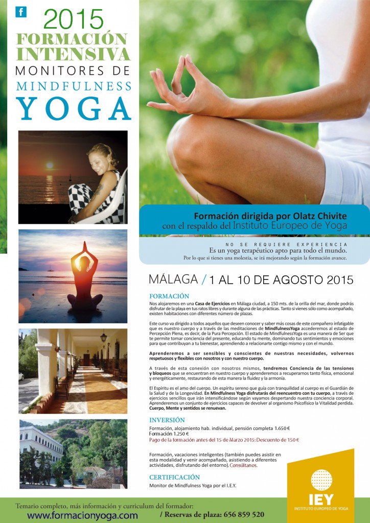 FOR_Mindfulness2015b
